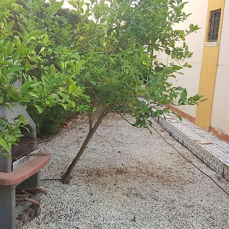 Punta Prima Bungalow Jardin Privado Τορεβιέχα Εξωτερικό φωτογραφία