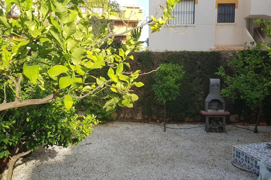 Punta Prima Bungalow Jardin Privado Τορεβιέχα Εξωτερικό φωτογραφία