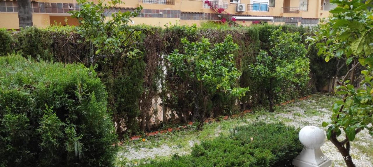 Punta Prima Bungalow Jardin Privado Τορεβιέχα Εξωτερικό φωτογραφία
