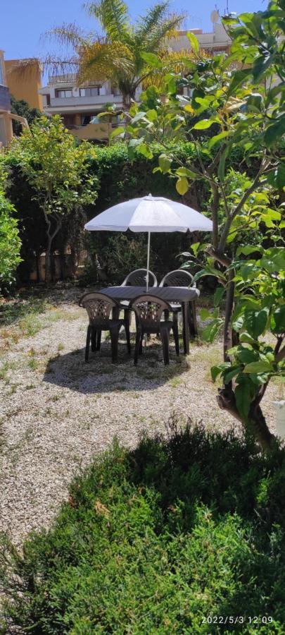 Punta Prima Bungalow Jardin Privado Τορεβιέχα Εξωτερικό φωτογραφία
